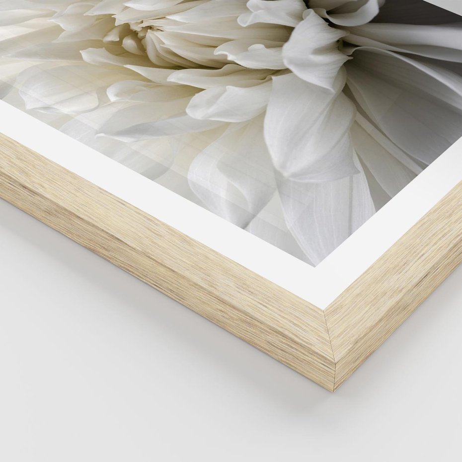 Plakat w ramie 30x40 - Białe Kwiaty Delikatności - białe, kwiaty - rama drewno