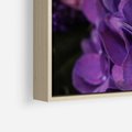 Obraz w ramie 70x50 - Fioletowa hortensja - kwiaty, hortensja - rama drewno