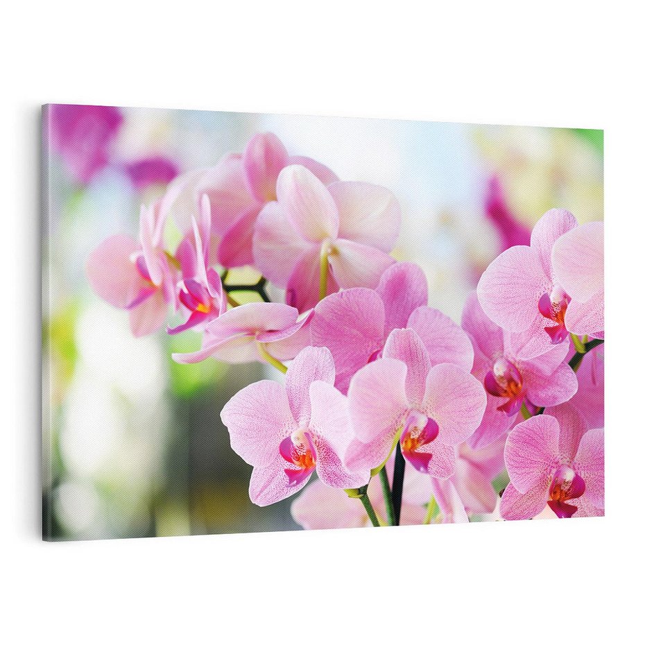 Obraz na płótnie 70x50 - Elegancja orchidei - orchidea, kwiaty