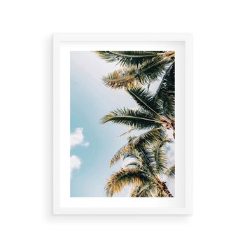 Plakat w ramie 50x70 - Pod Błękitnym Niebem - palmy, ujęcie z dołu - rama biała
