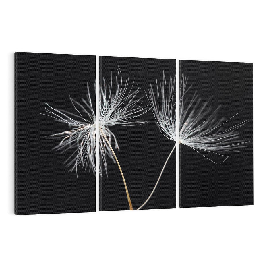 Obraz na płótnie 120x80 - Delikatność Wiatru - dmuchawce, makro