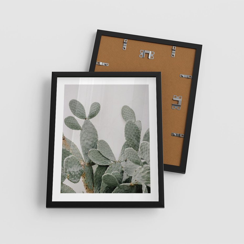 Plakat w ramie 40x50 - Imponujący Kaktus - duży kaktus, opuncja - rama czarna