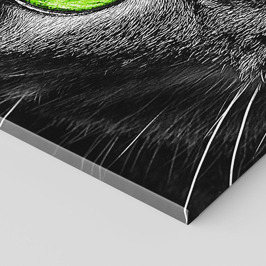 Obraz na płótnie 100x50 - Przestreń nautra doznania - kot, kotek