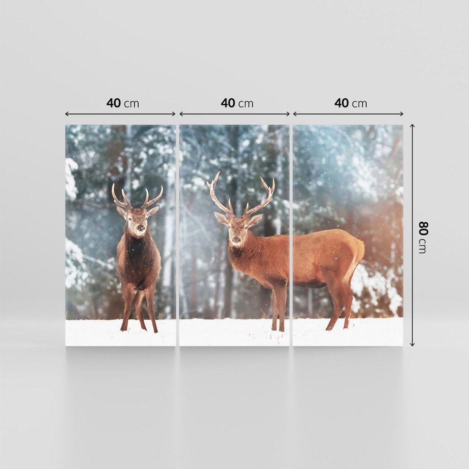 Obraz na płótnie 120x80 - Mroźne Spotkanie w Leśnej Krainie - dwa jelenie, zima