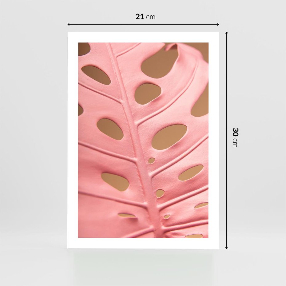 Plakat bez ramy 21x30 - Różowa monstera w pełnym rozkwicie - różowa, monstera