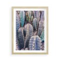 Plakat w ramie 50x70 - Kaktusowy Raj - kaktusy, dużo kaktusów - rama drewno