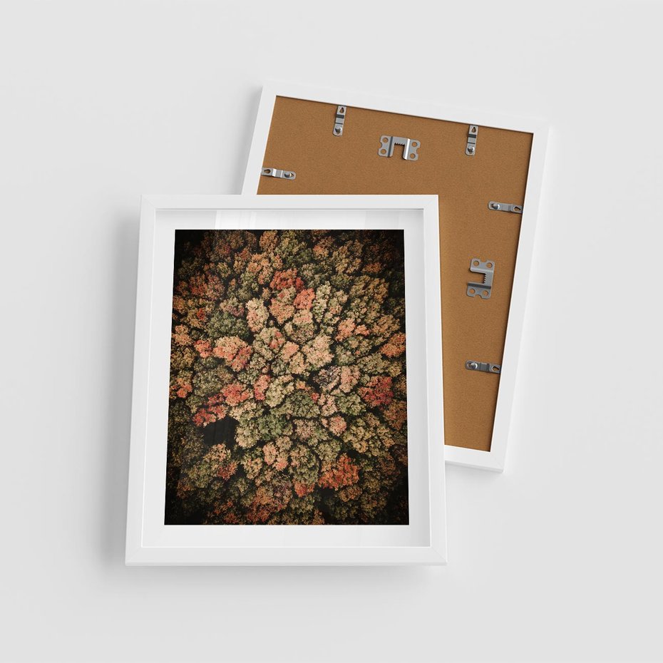 Plakat w ramie 40x50 - Jesień z Lotu Ptaka: Malowniczy Las - las jesienią z lotu ptaka - rama biała