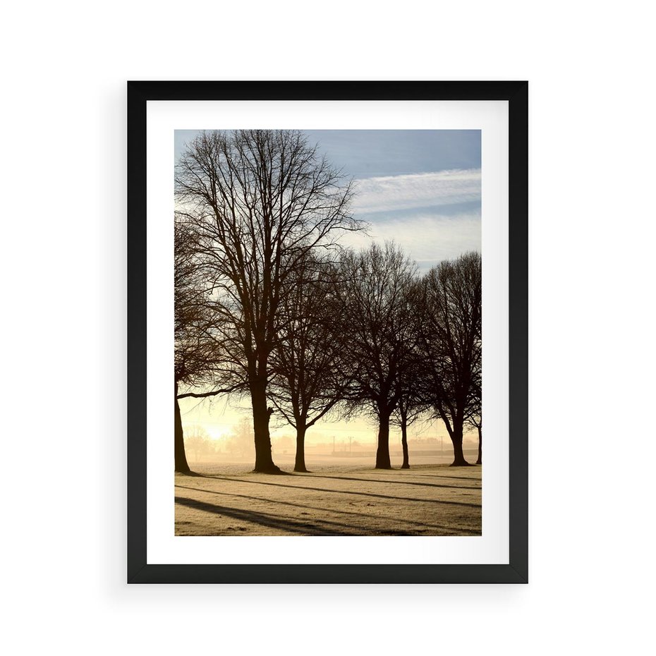 Plakat w ramie 40x50 - Siła natury - drzewa, pole - rama czarna