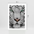Plakat bez ramy 50x70 - Magia Białego Tygrysa - biały, tygrys