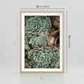 Plakat w ramie 50x70 - Zielona Uroda Sukulentów - sukulenty, zielone liście - rama drewno