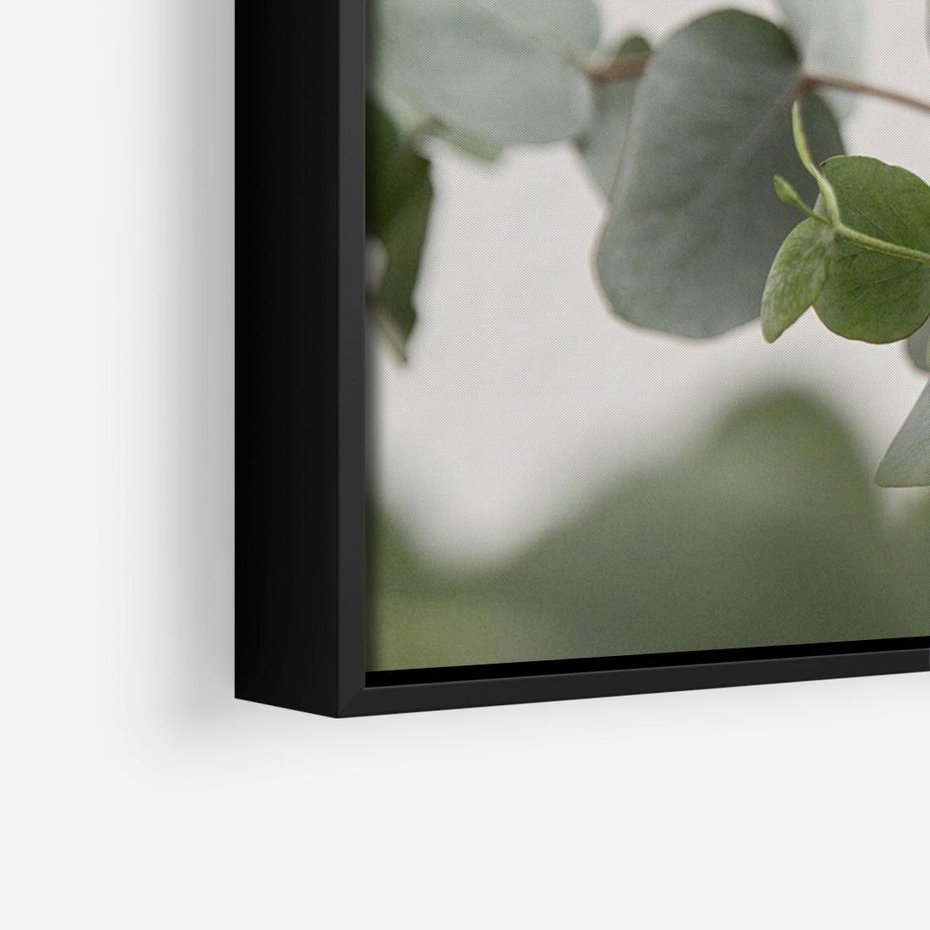Obraz w ramie 70x50 - Liście eukaliptusa w naturze - eukaliptus, liście - rama czarna