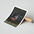 Plakat bez ramy 21x30 - Spotkanie z naturą - jeleń, las