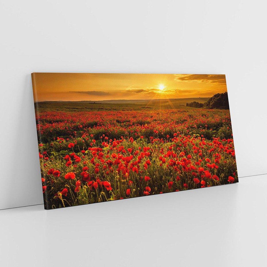 Obraz na płótnie 120x60 - Makowe uczucia - maki, kwiaty