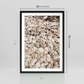 Plakat w ramie 50x70 - Symfonia Natury - kompozycja z białych muszli - rama czarna