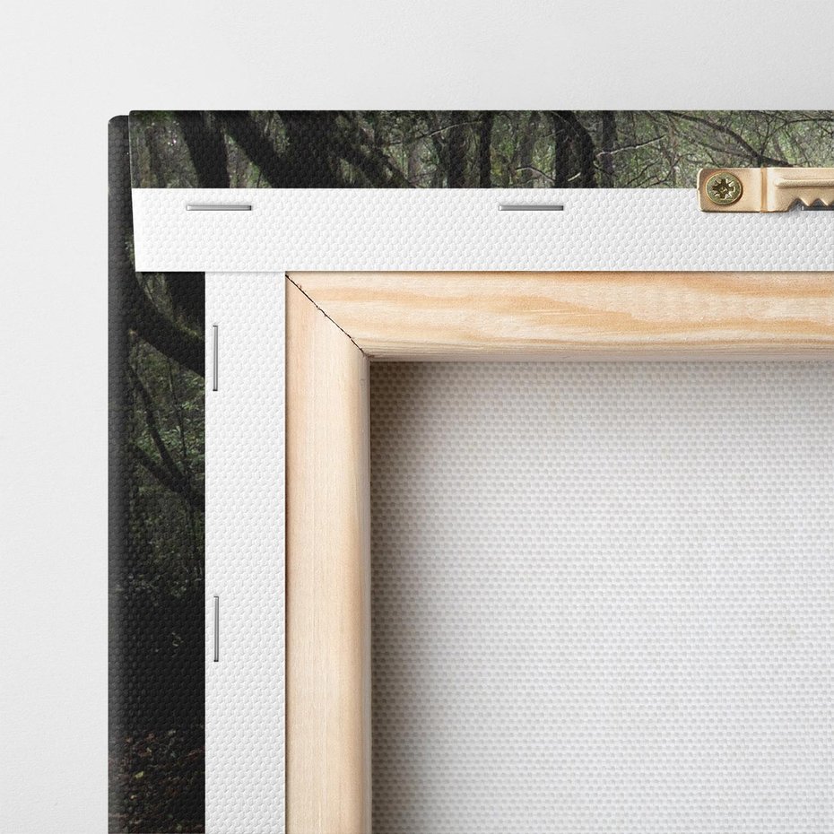 Obraz na płótnie 80x80 - Urok Drogi - las, droga