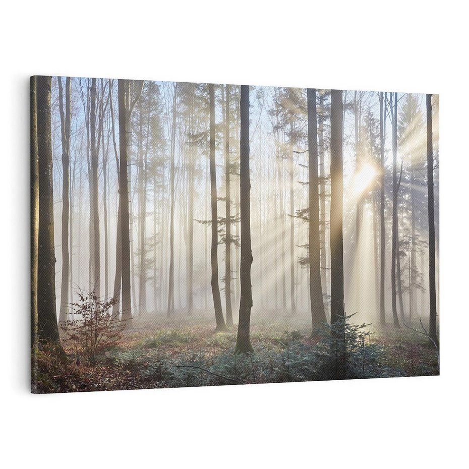 Obraz na płótnie 70x50 - Magiczne zaklęcie: Las pełen drzew - las, drzewa