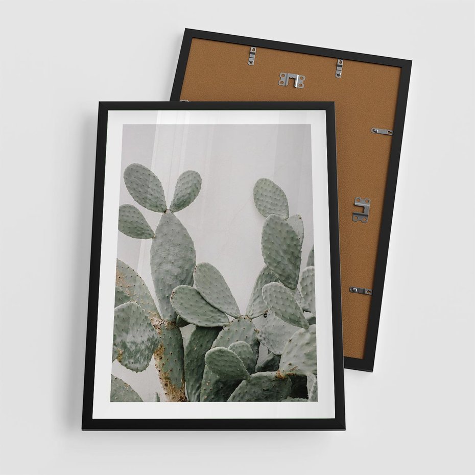 Plakat w ramie 50x70 - Imponujący Kaktus - duży kaktus, opuncja - rama czarna
