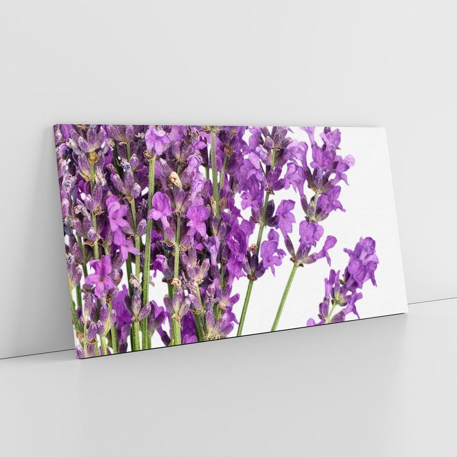 Obraz na płótnie 100x50 - Pola lawendy w pełnym rozkwicie - lawenda, kwiaty