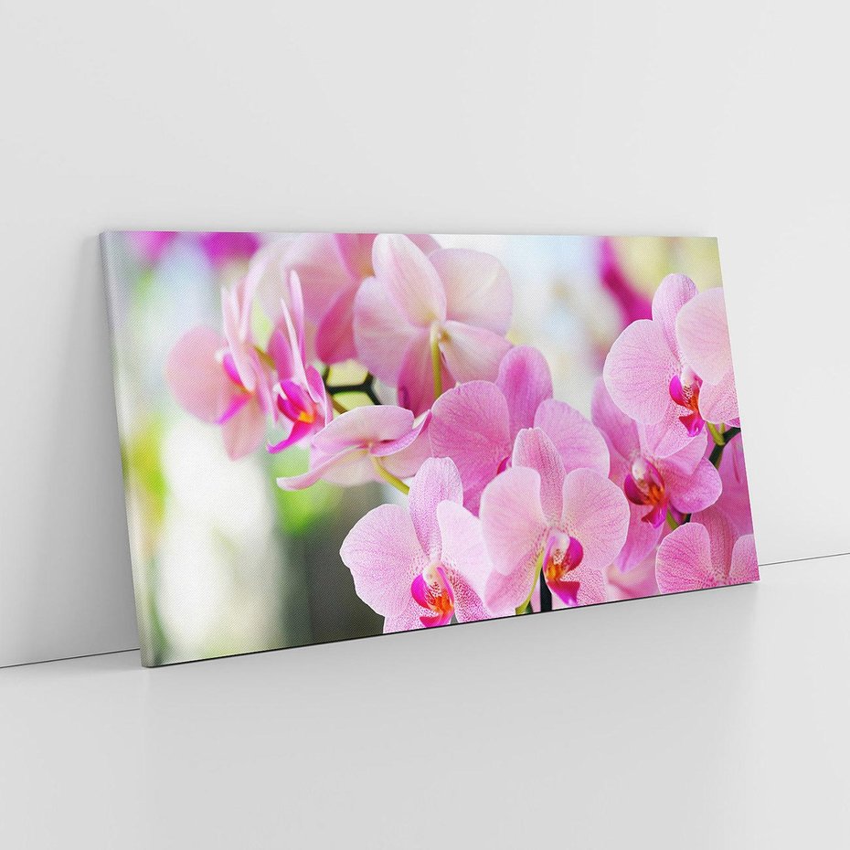 Obraz na płótnie 140x70 - Elegancja orchidei - orchidea, kwiaty