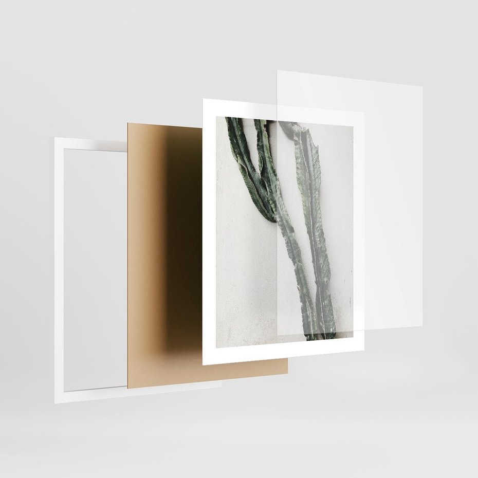 Plakat w ramie 40x50 - Zielona Roślina z Liśćmi - zielona roślina, liście - rama biała