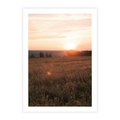 Plakat bez ramy 21x30 - Łąka we Wschodzącym Słońcu: Magia Poranka - łąka, krajobraz