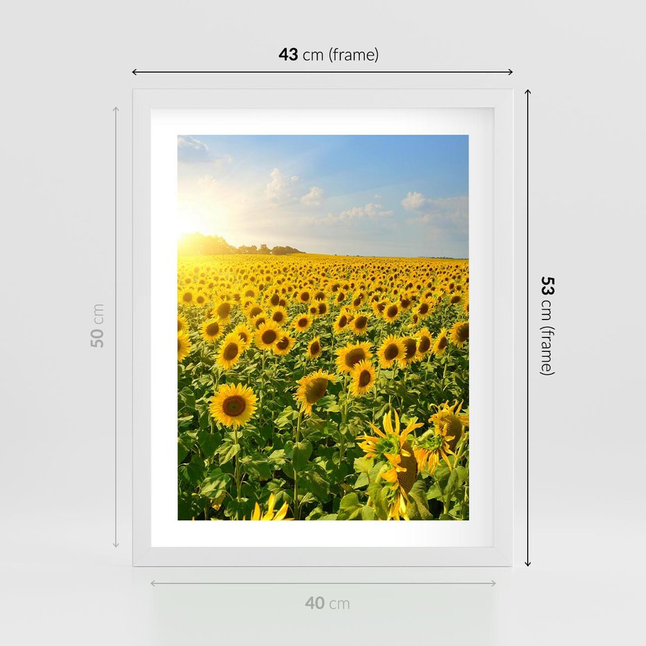 Plakat w ramie 40x50 - Idylla na łące słoneczników - łąka, słoneczniki - rama biała