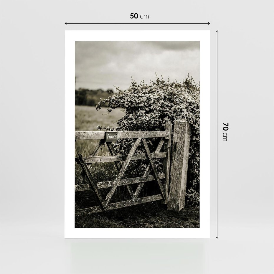 Plakat bez ramy 50x70 - Wiejski Urok: Stary Płot i Kwitnący Krzew - rustykalne zdjęcie, stary płot