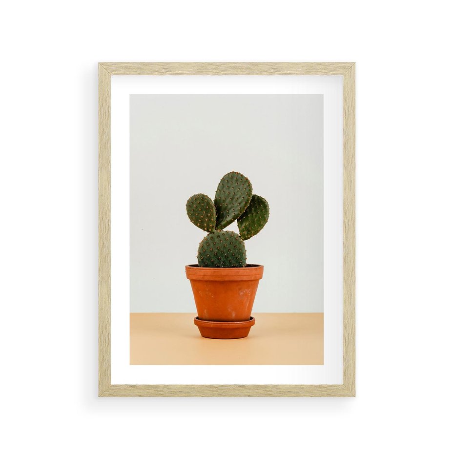 Plakat w ramie 30x40 - Kwiatowy taniec kaktusa - kaktus, kwiat - rama drewno