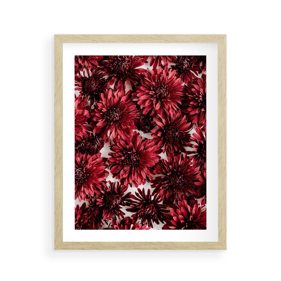 Plakat w ramie 40x50 - Energia Kwiatów - czerwone kwiaty, kompozycja - rama drewno