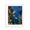 Plakat w ramie 40x50 - Podwodne królestwo rafy koralowej - rafa, koralowa - rama biała