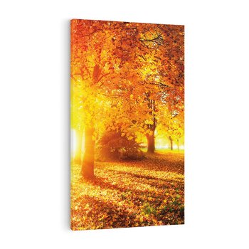 Obraz na płótnie 50x70 - Magia jesiennego lasu - las, drzewa