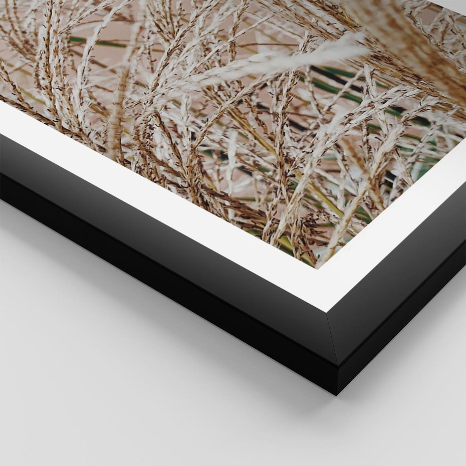 Plakat w ramie 50x70 - Beżowa Trawa - suche trawy, zbliżenie - rama czarna