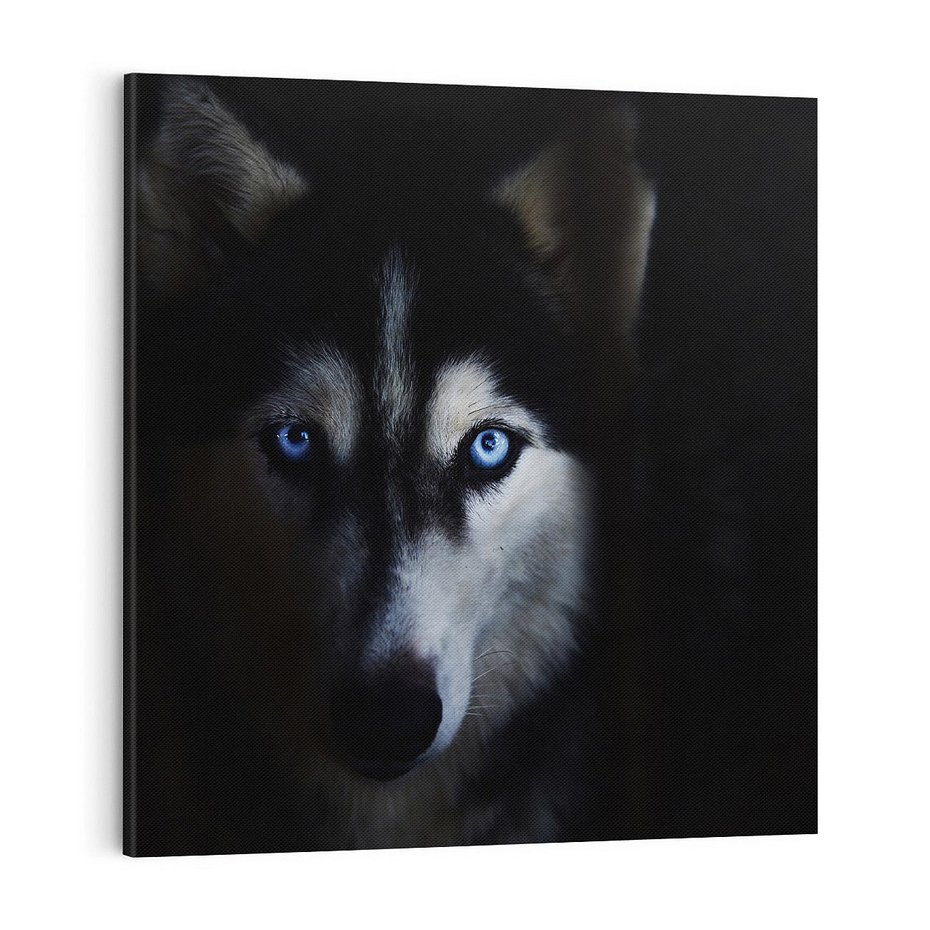 Obraz na płótnie 50x50 - Wilk i husky: siła przyjaźni - wilk, husky