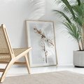 Plakat w ramie 40x50 - Gałęzie Bawełny na Białym Tle - gałęzie bawełny na białym tle, minimalizm - rama drewno