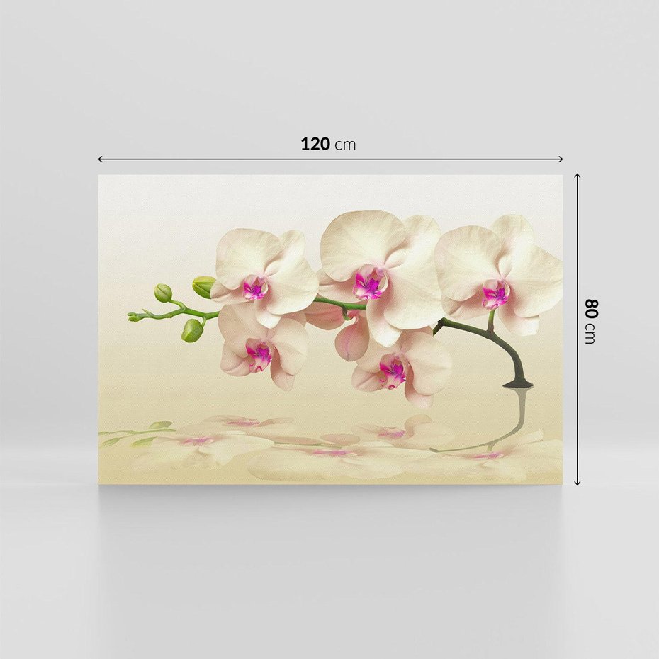 Obraz na płótnie 120x80 - Kwiatowa harmonia w SPA - orchidea, kwiat