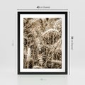 Plakat w ramie 40x50 - Zbliżenie na Kłosy Zboża - zboża, kłosy zboża - rama czarna