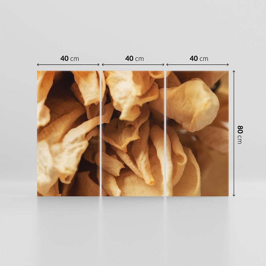 Obraz na płótnie 120x80 - Zjawiskowe zasuszone kwiaty - zasuszone, kwiaty