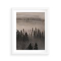 Plakat w ramie 40x50 - Mglista Opowieść Lasu - las, mgła - rama biała