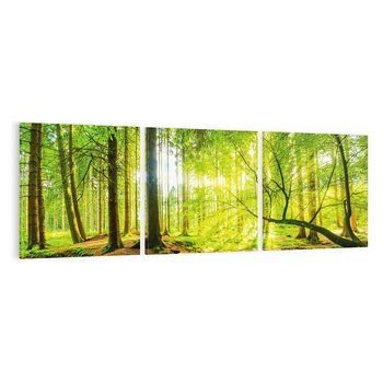 Obraz na płótnie 120x40 - Las w pełnym rozkwicie - las, drzewa