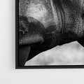 Obraz w ramie 100x70 - Potęga Afryki - czarno biała fotografia, zbliżenie na postać nosorożca - rama czarna