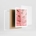 Plakat w ramie 40x50 - Różowy Liść Monstery - różowy liść monstery, nowoczesna fotografia - rama biała