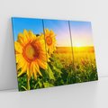 Obraz na płótnie 120x80 - Słoneczniki na malowniczej łące - słoneczniki, łąka