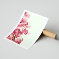 Plakat bez ramy 40x50 - Orchidea - delikatne kwiaty - orchidea, kwiaty