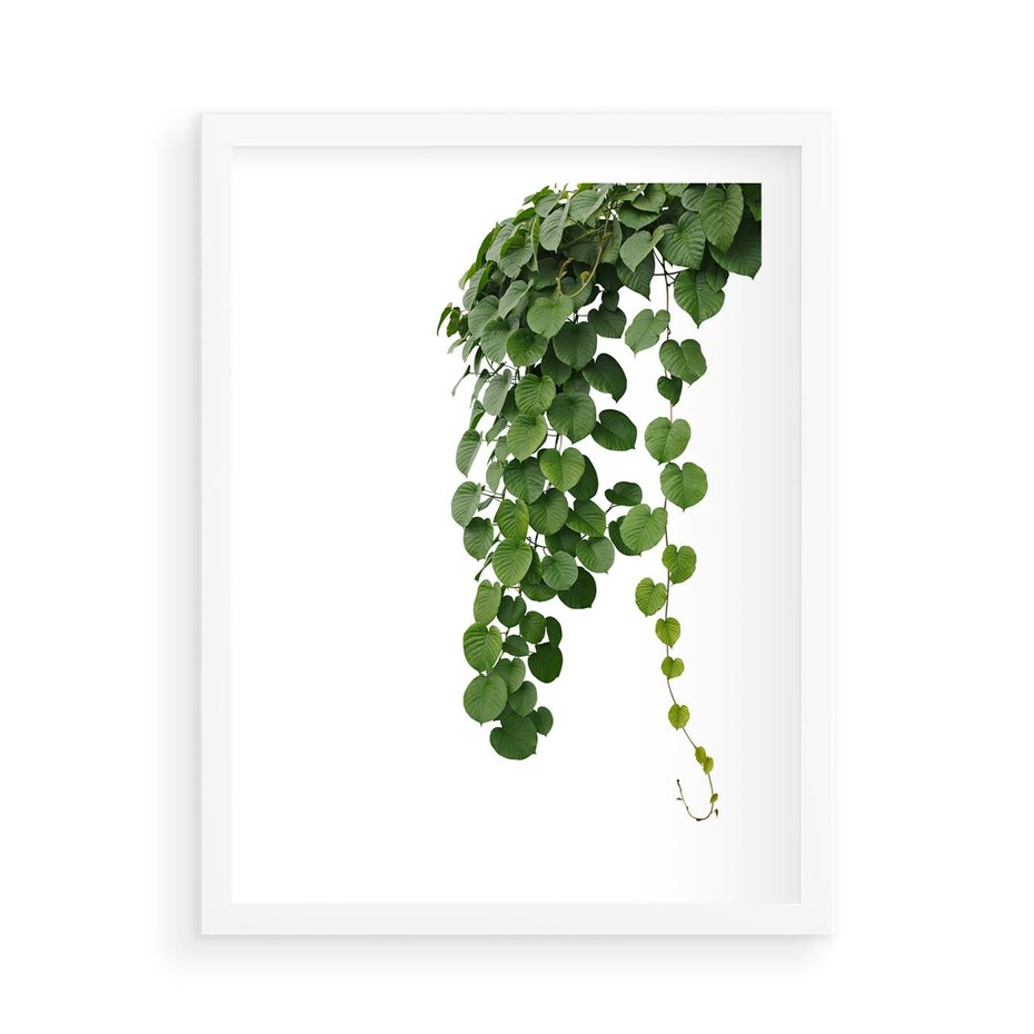Plakat w ramie 50x70 - Świeżość Natury - liście, zielone - rama biała
