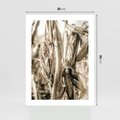 Plakat bez ramy 30x40 - Retro Pole Kukurydzy - retro zdjęcie, sepia