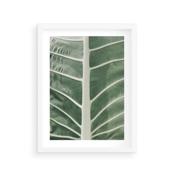 Plakat w ramie 30x40 - Zielone Wielkości: Zbliżenie Liścia - zbliżenie duz liść, jasna zieleń - rama biała