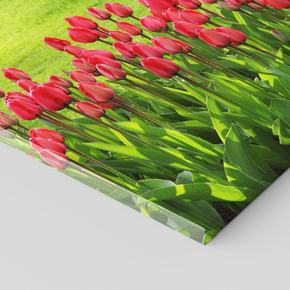 Obraz na płótnie 120x80 - Tulipanowy raj - kwiat, kwiaty