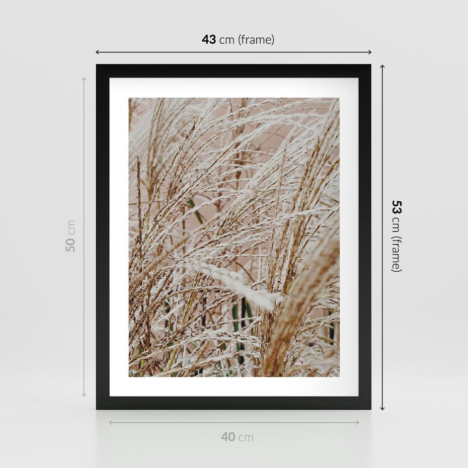 Plakat w ramie 40x50 - Beżowa Trawa - suche trawy, zbliżenie - rama czarna