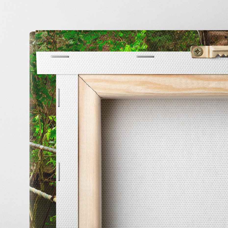 Obraz na płótnie 80x80 - Przez Dżunglę - most, linowy