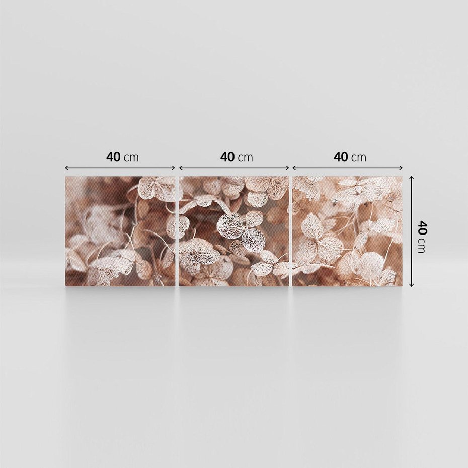 Obraz na płótnie 120x40 - Przemijająca Piękność - fotografia, zbliżenie